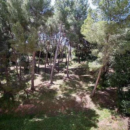 Superb T4 Souplex In Giens Appartement Hyères